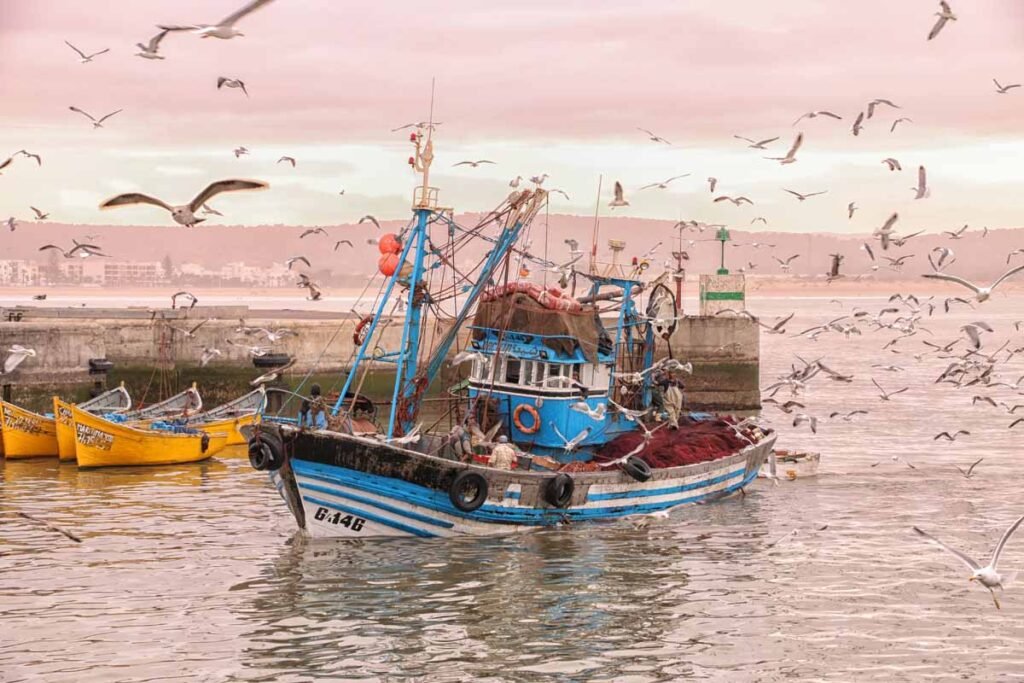 Can You Explain The Traditional Methods Of Moroccan Fishing?